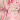 Pink/Green Print